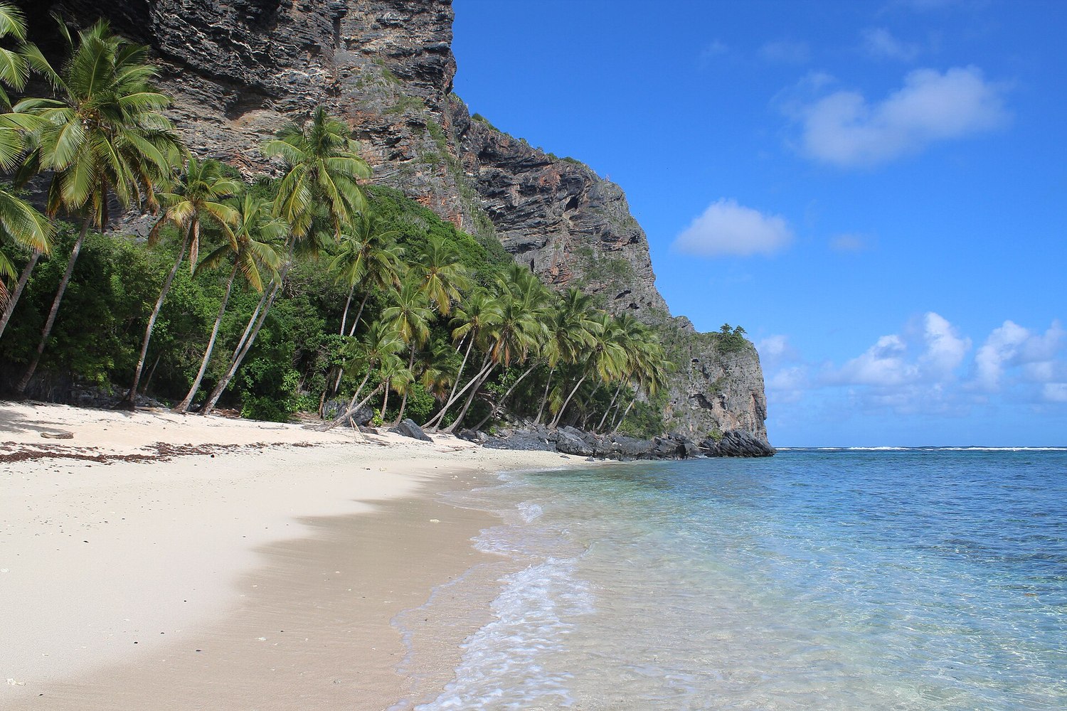 Playa Frontón, Samaná