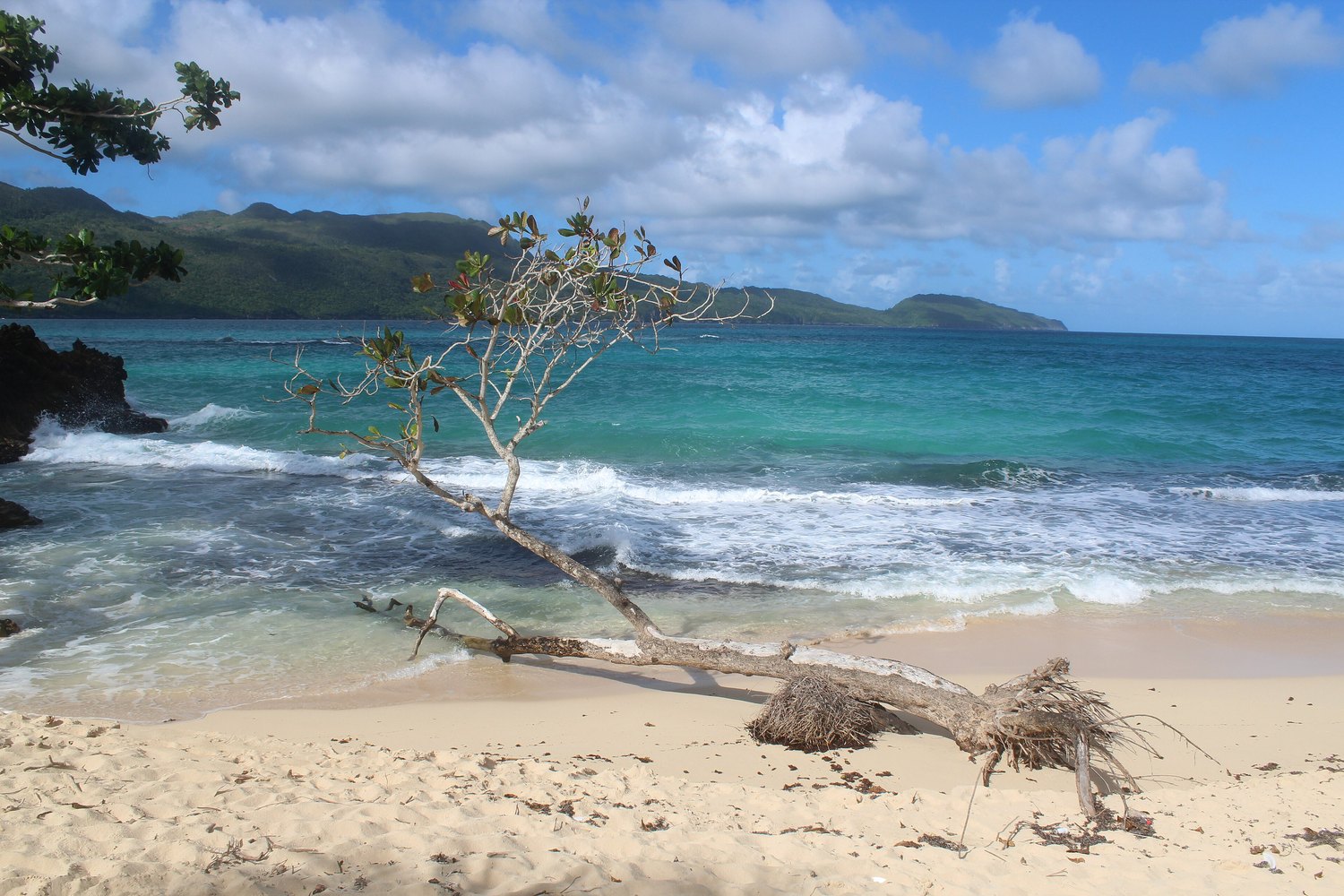 Playa Rincón, Samaná
